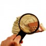 Appraisal and AMC Fees Separated on Revised Settlement Forms